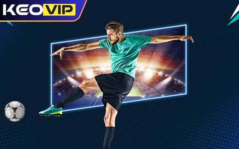 Mẹo cá cược chậm mà chắc