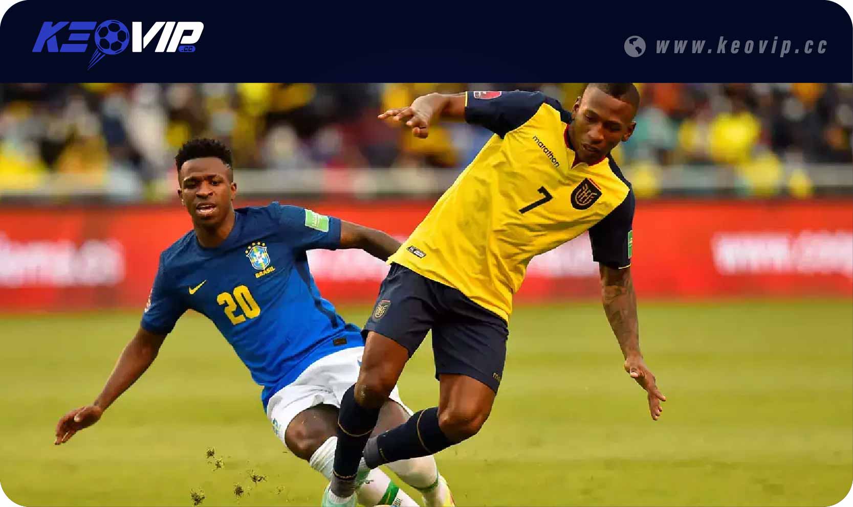 Soi kèo châu Á Brazil vs Ecuador (Handicap)