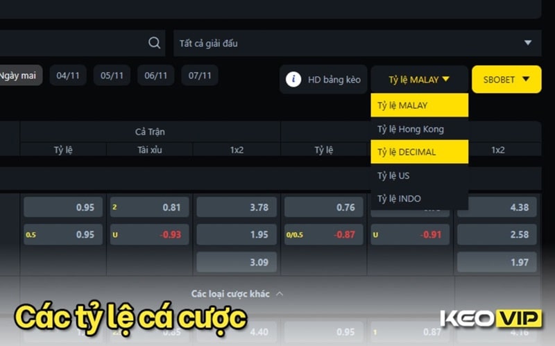Các tỷ lệ cược thường thấy trên bảng keo nha cai