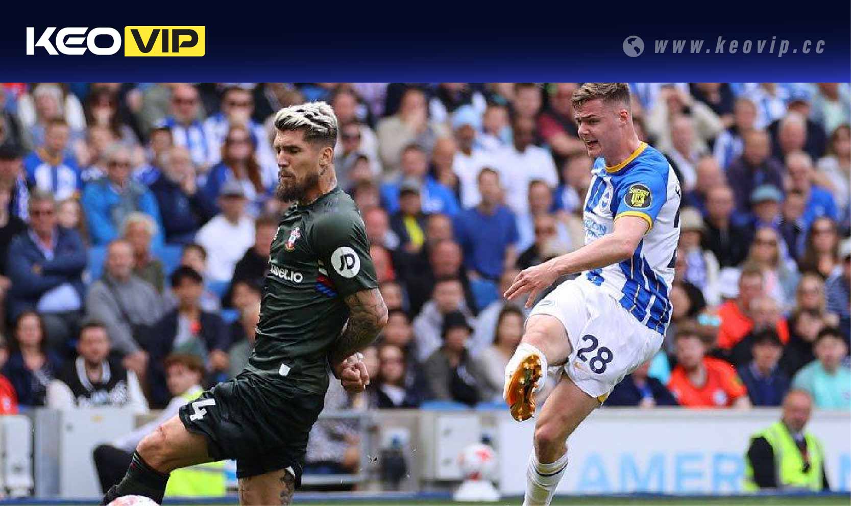 Soi kèo châu Á Brighton vs Southampton (Handicap)