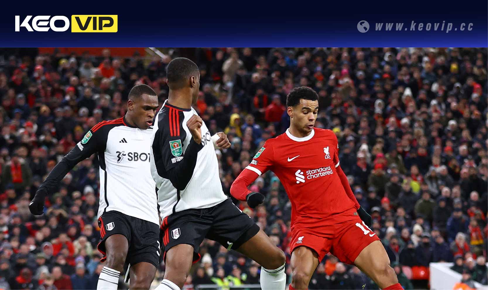 Soi kèo châu Á Liverpool vs Fulham (Handicap)