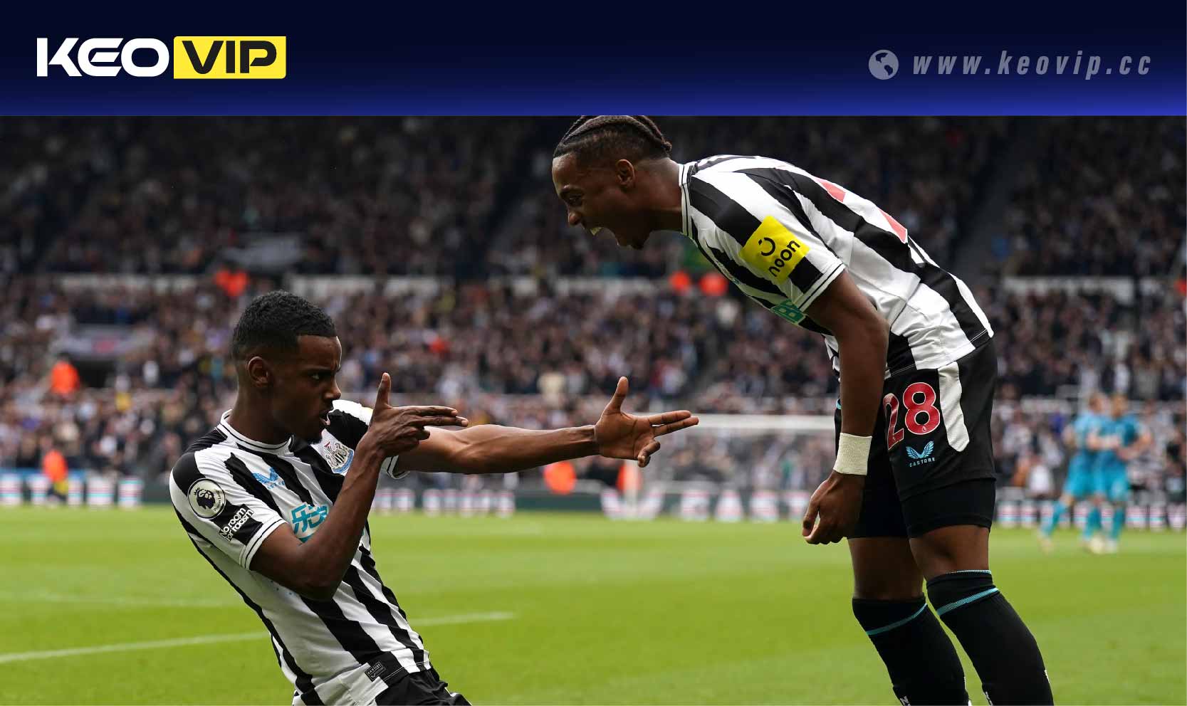 Soi kèo châu Á Tottenham vs Newcastle (Handicap)