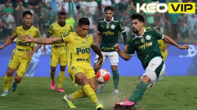 Đánh giá phong độ và cơ hội trước trận của Palmeiras vs Mirassol